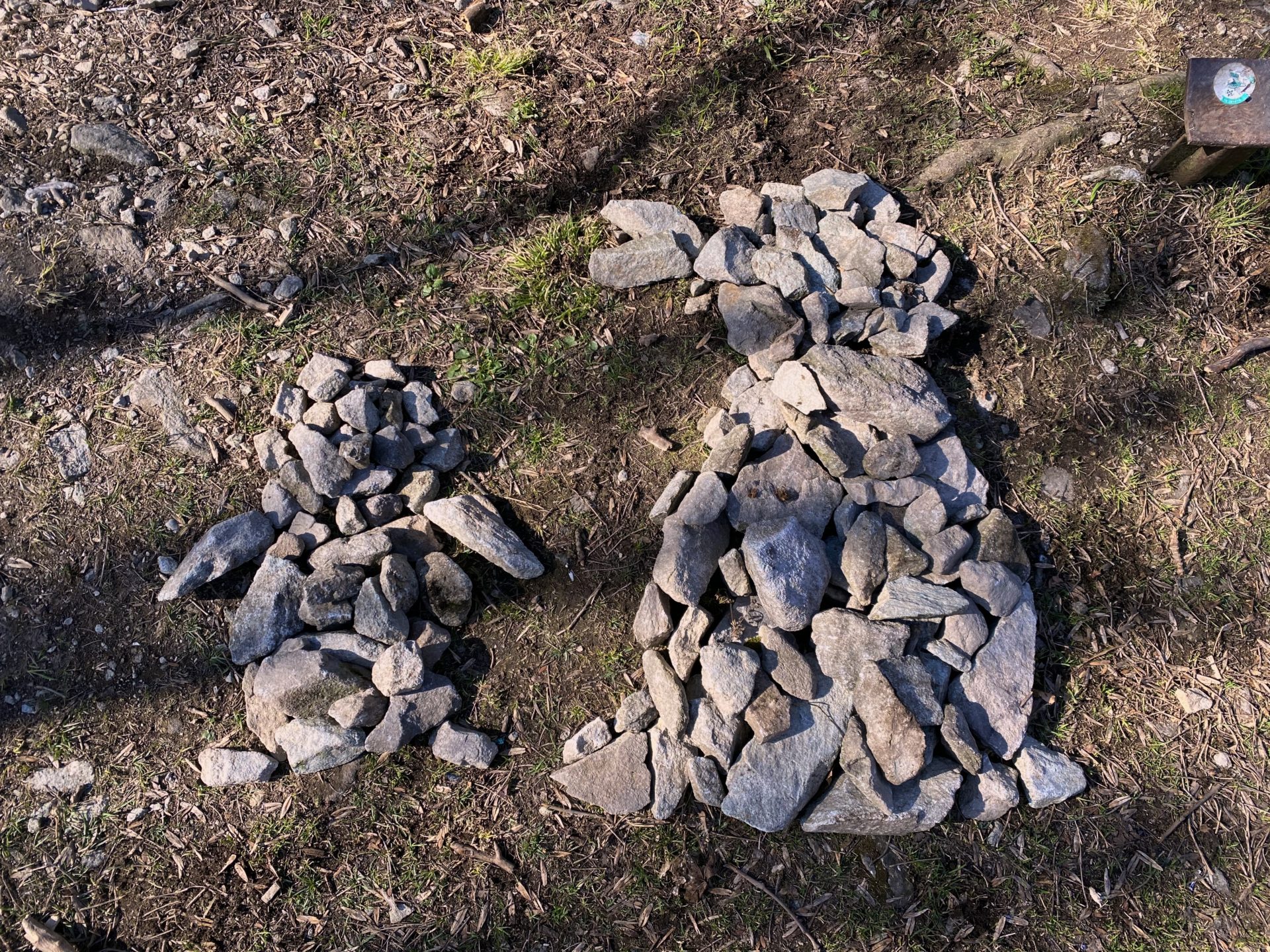 Two penguin shapes made of grey stones resting on the forest floor
