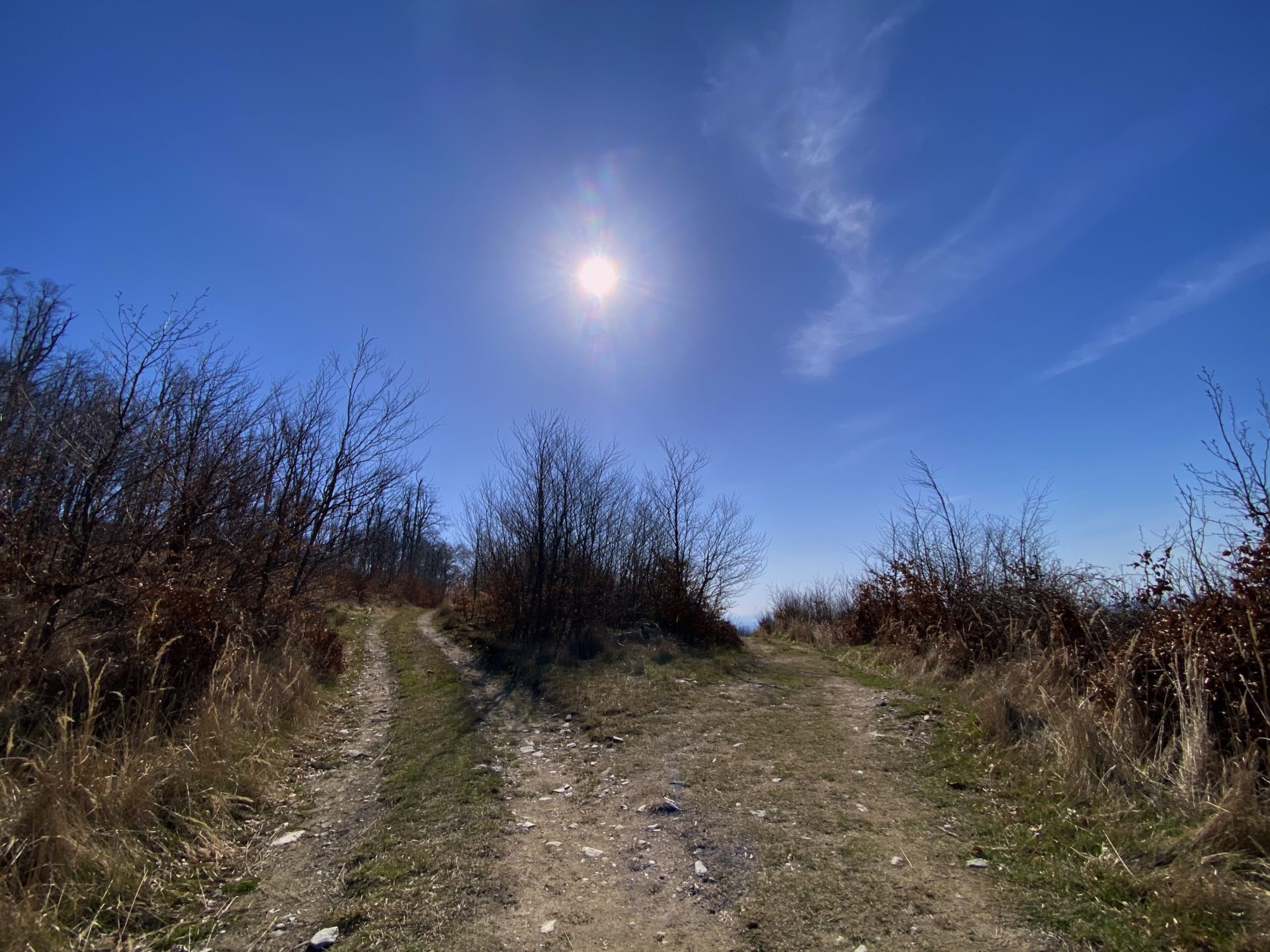 Bright sun shines over a dirt path in the Little Carpathians