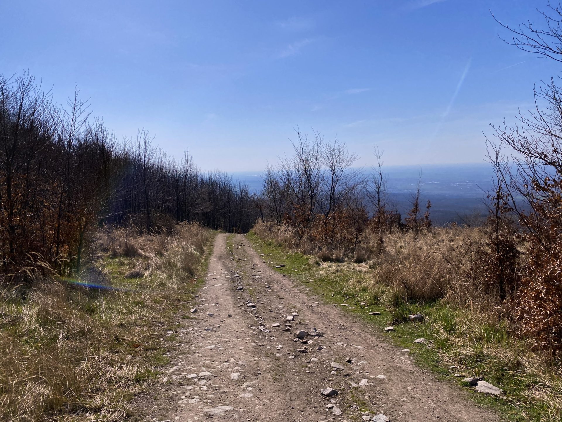 A dirt path leads through the Little Carpathians under a clear blue sky