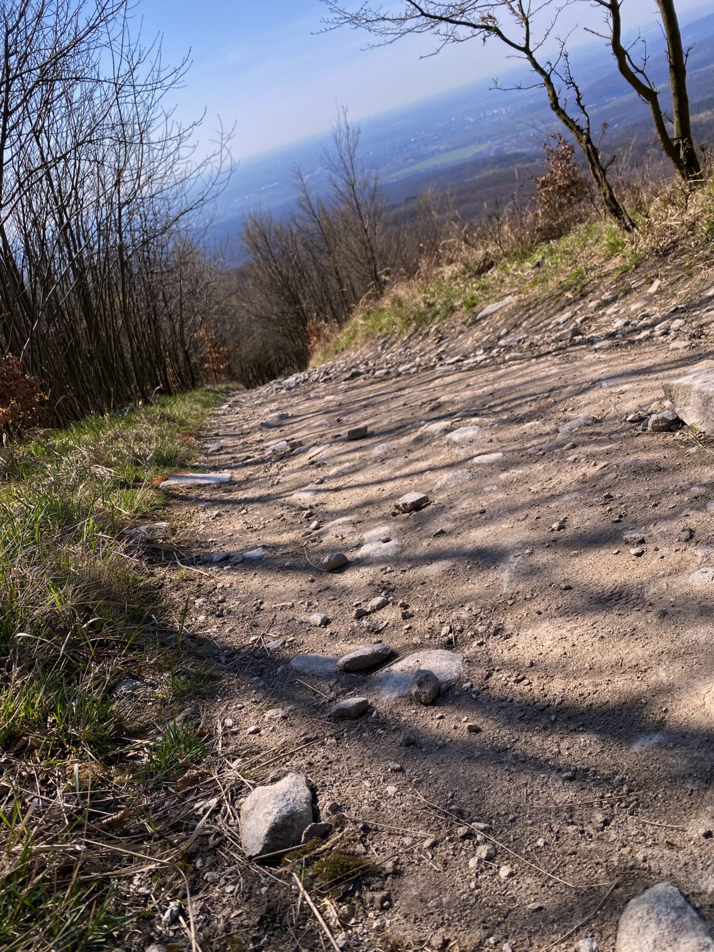 Rocky dirt path winding down a hill in the Little Carpathians