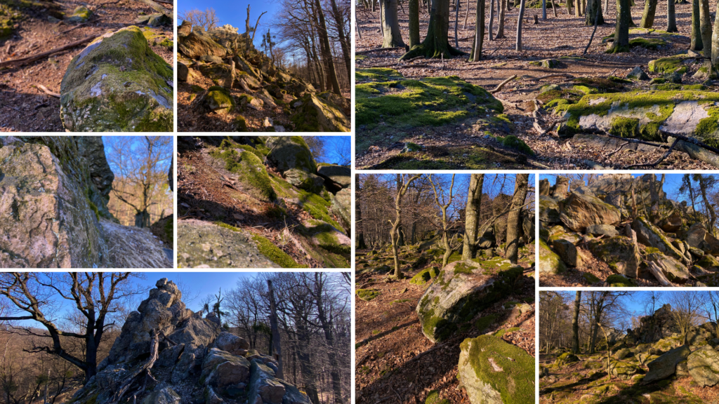 Collage of mossy rocks and bare trees in the Little Carpathians