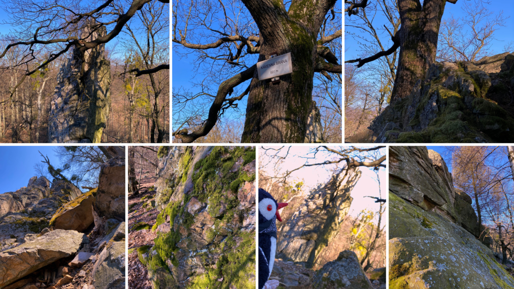 Toy penguin Miško in a collage of rocky outcrops in the Little Carpathians