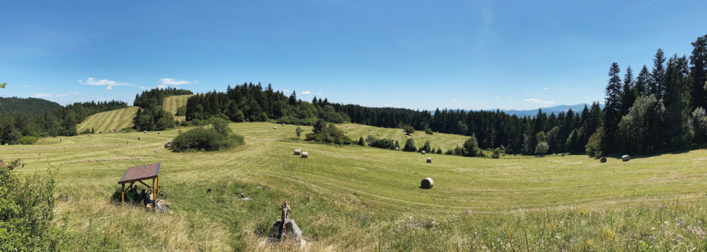 Panoramic view of a grassy meadow with hay bales and surrounding pine forests