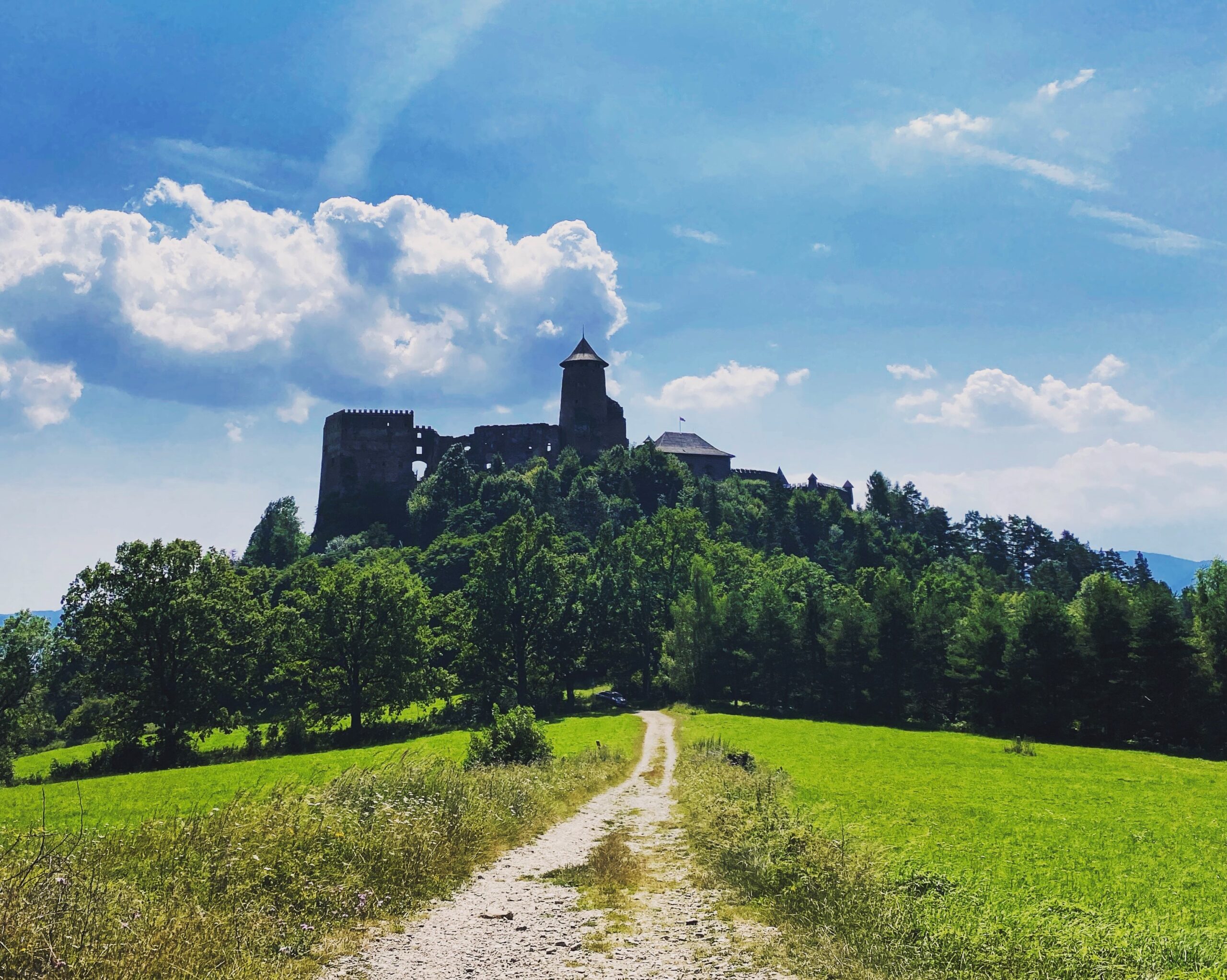 Dirt path leading to Stará Ľubovňa Castle atop a lush green hill