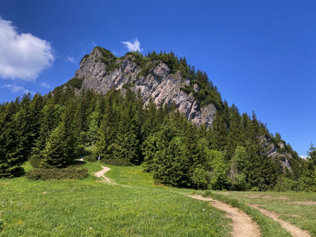 Malý Rozsutec