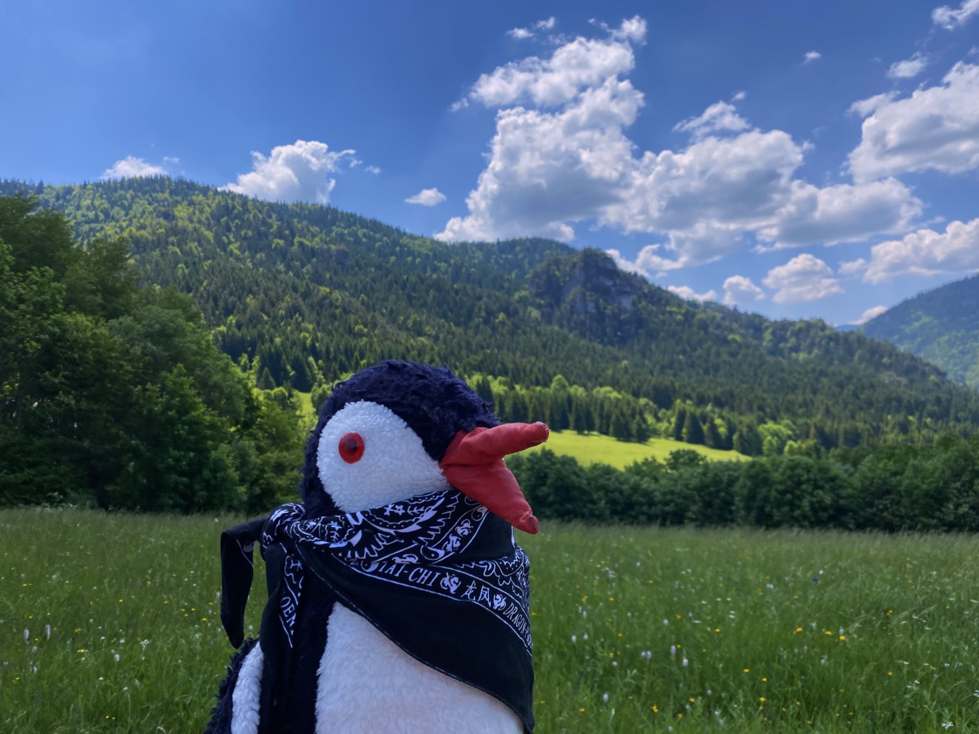 A plush penguin wearing a bandana stands in a grassy mountain meadow
