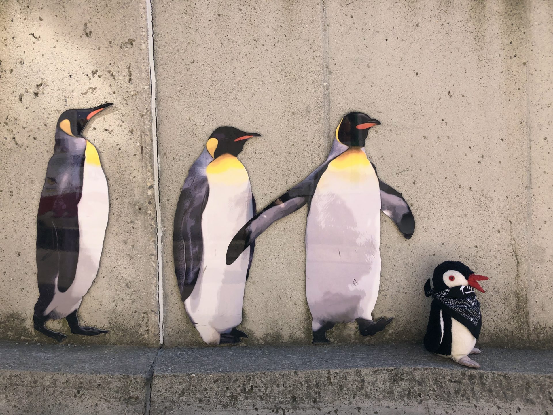 Three penguin cutouts stand on a ledge next to a plush penguin toy