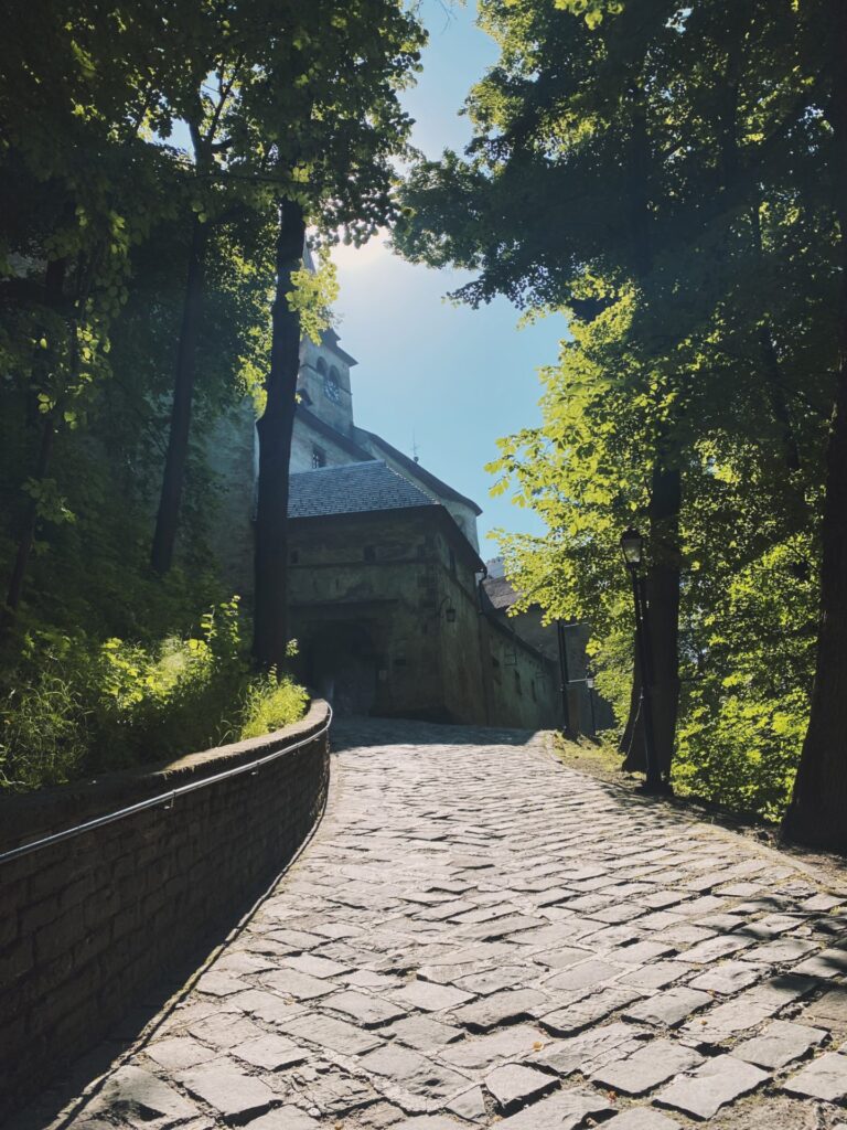 Cobblestone path leading up to the stone walls of Orava Castle