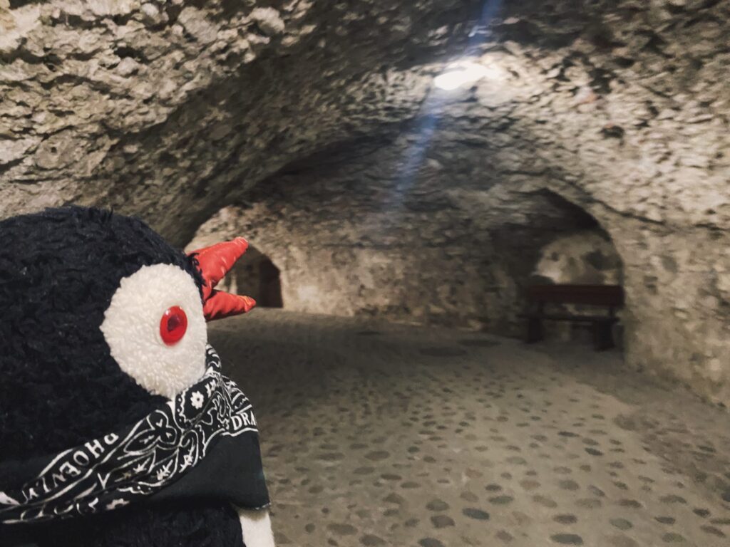 Plush toy looking into a dark stone tunnel at Orava Castle