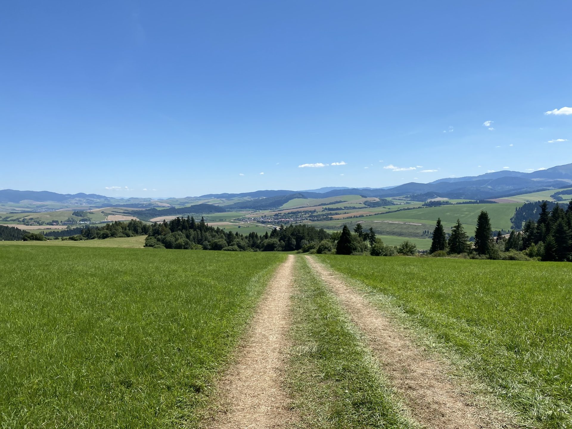Dirt path leading through a green meadow toward distant mountains near Chmeľnica