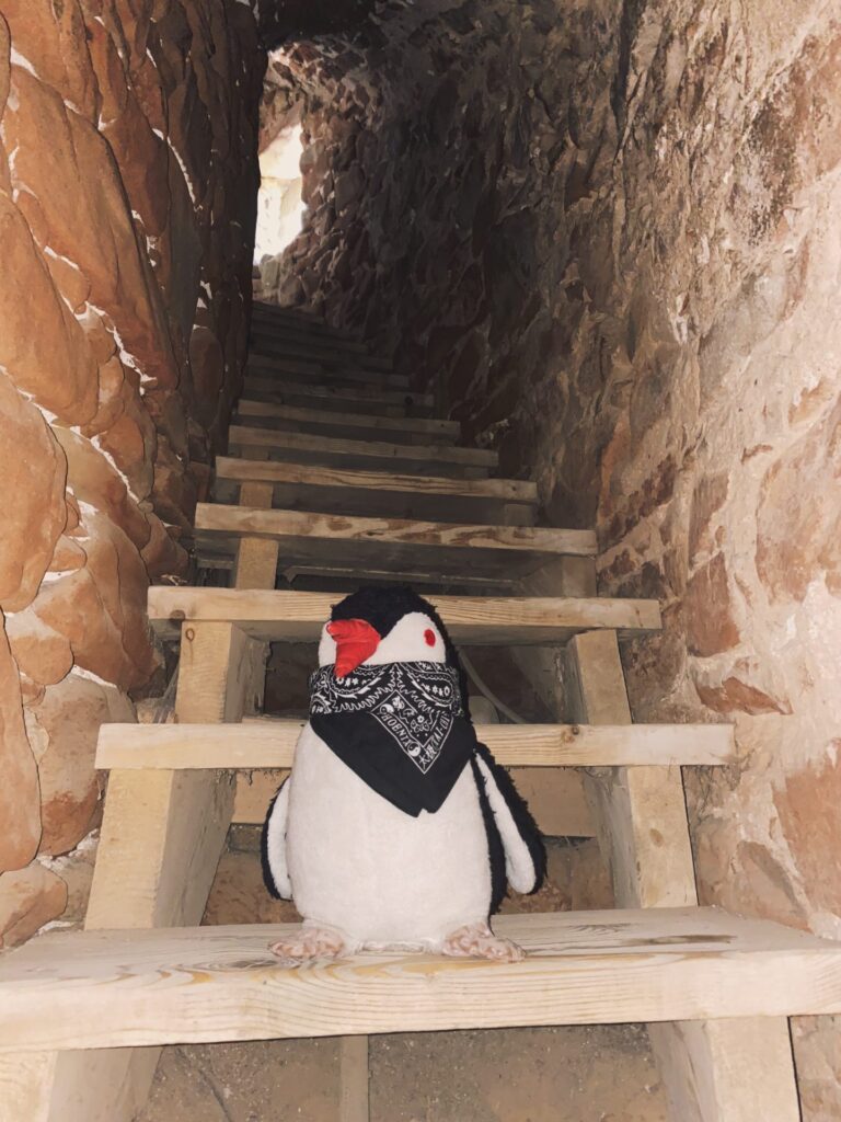 A plush penguin wearing a bandana sits on wooden stairs inside Stará Ľubovňa Castle