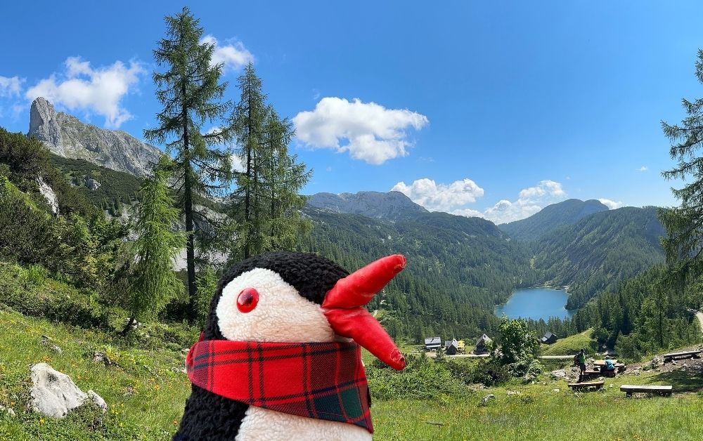 Stuffed penguin wearing a plaid scarf overlooks a mountain lake and forest landscape