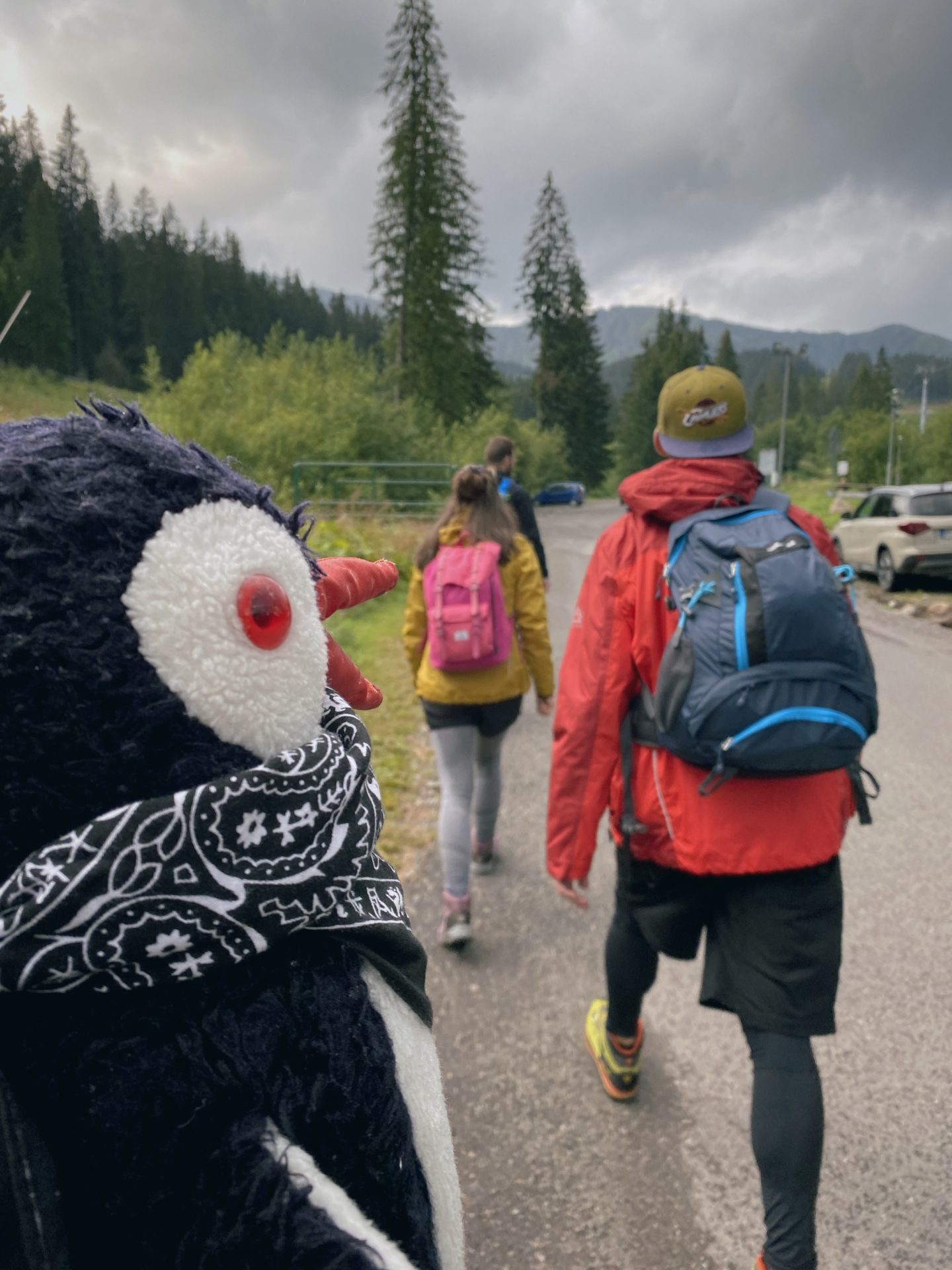 A plush penguin toy overlooks hikers walking along a mountain road