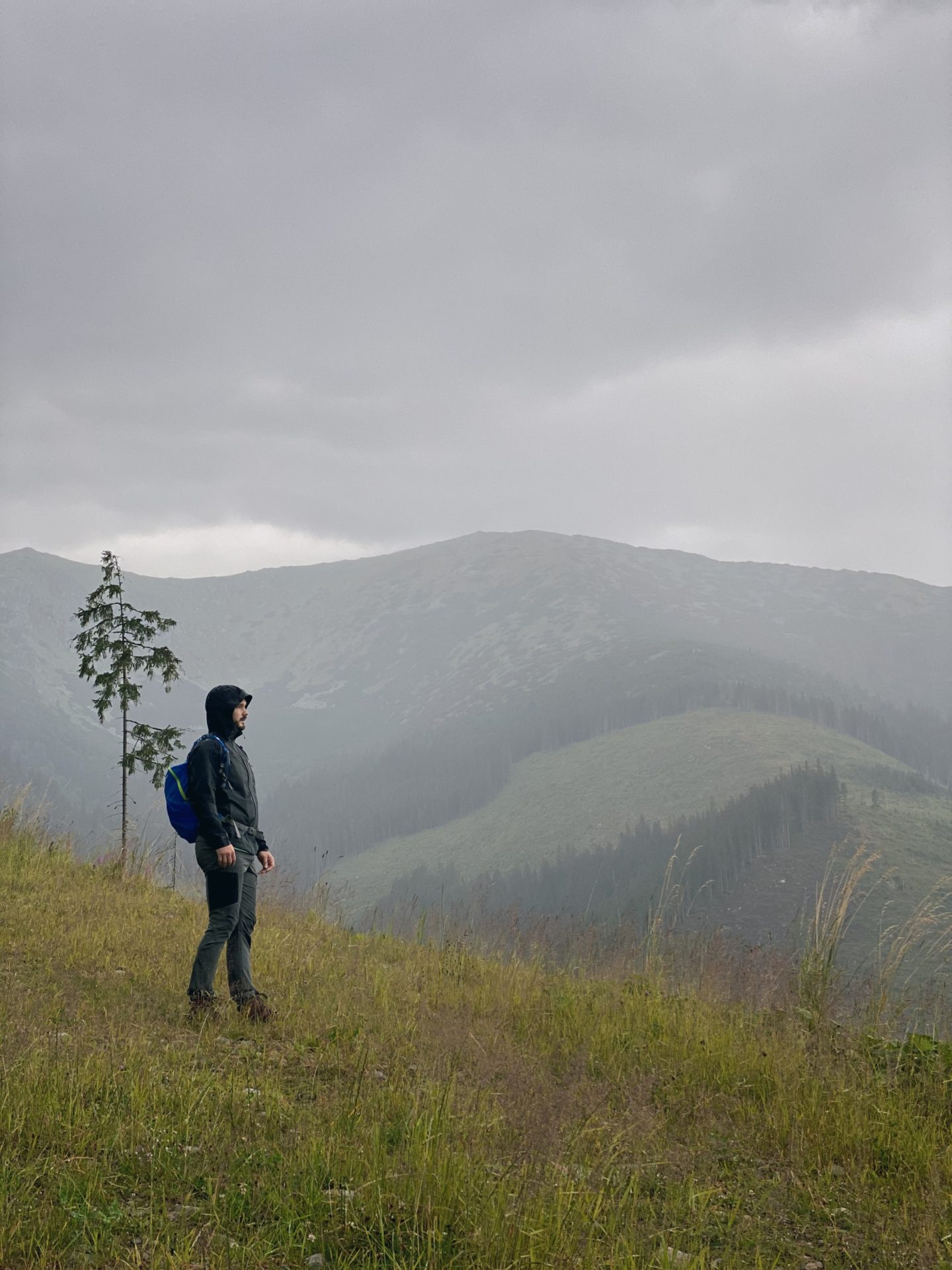 Hiker with a blue backpack stands on a grassy hill in Low Tatras
