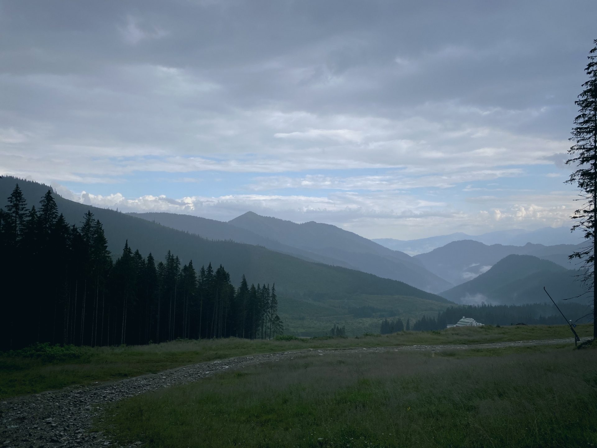 Mountainous landscape with a gravel path and pine trees in the Low Tatras