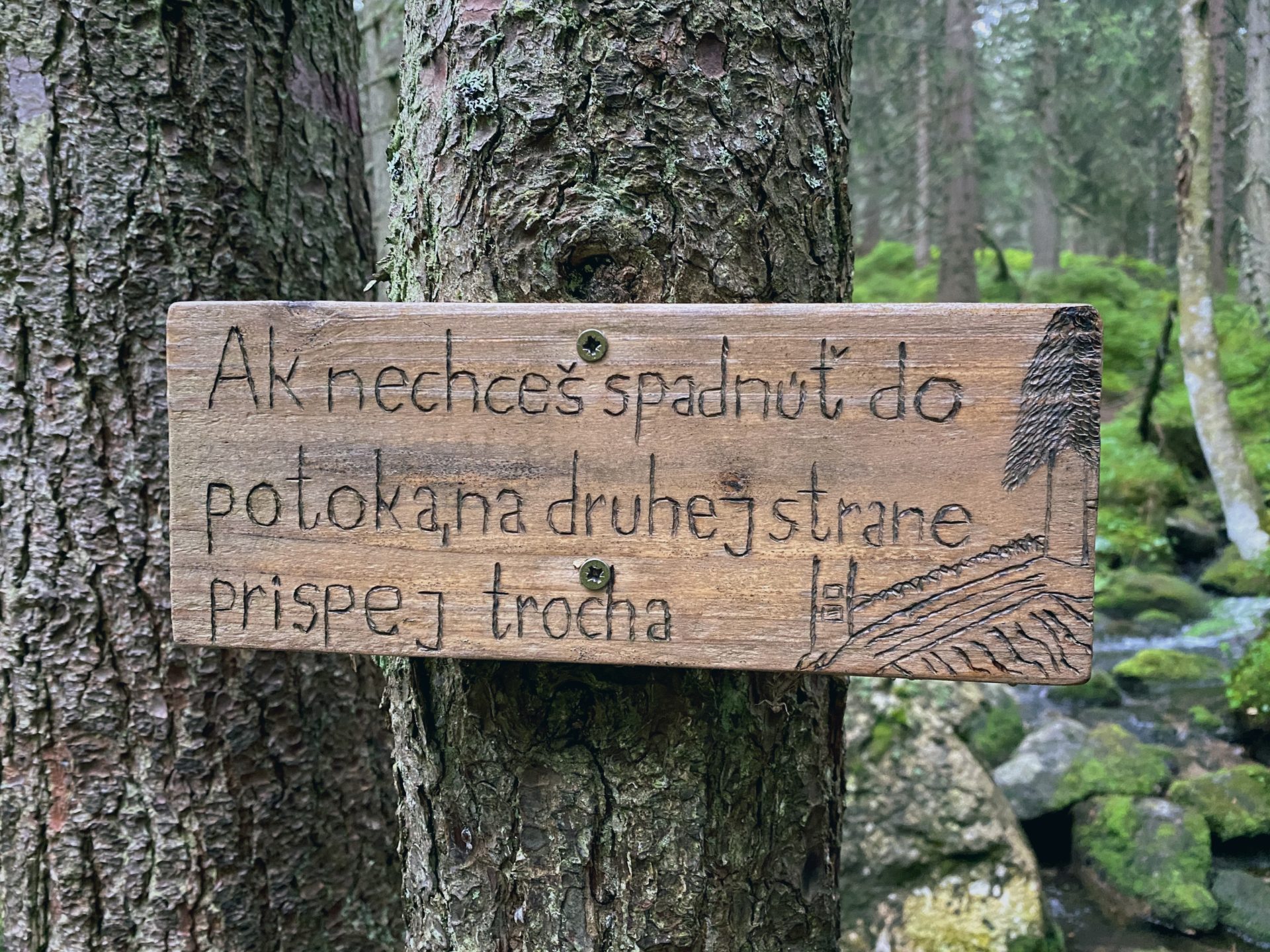 Wooden sign with Slovak text attached to a tree in a forest