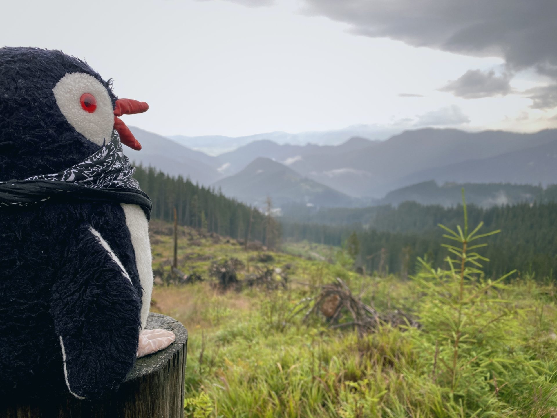 Plush penguin sits on a wooden post overlooking the Low Tatras mountains