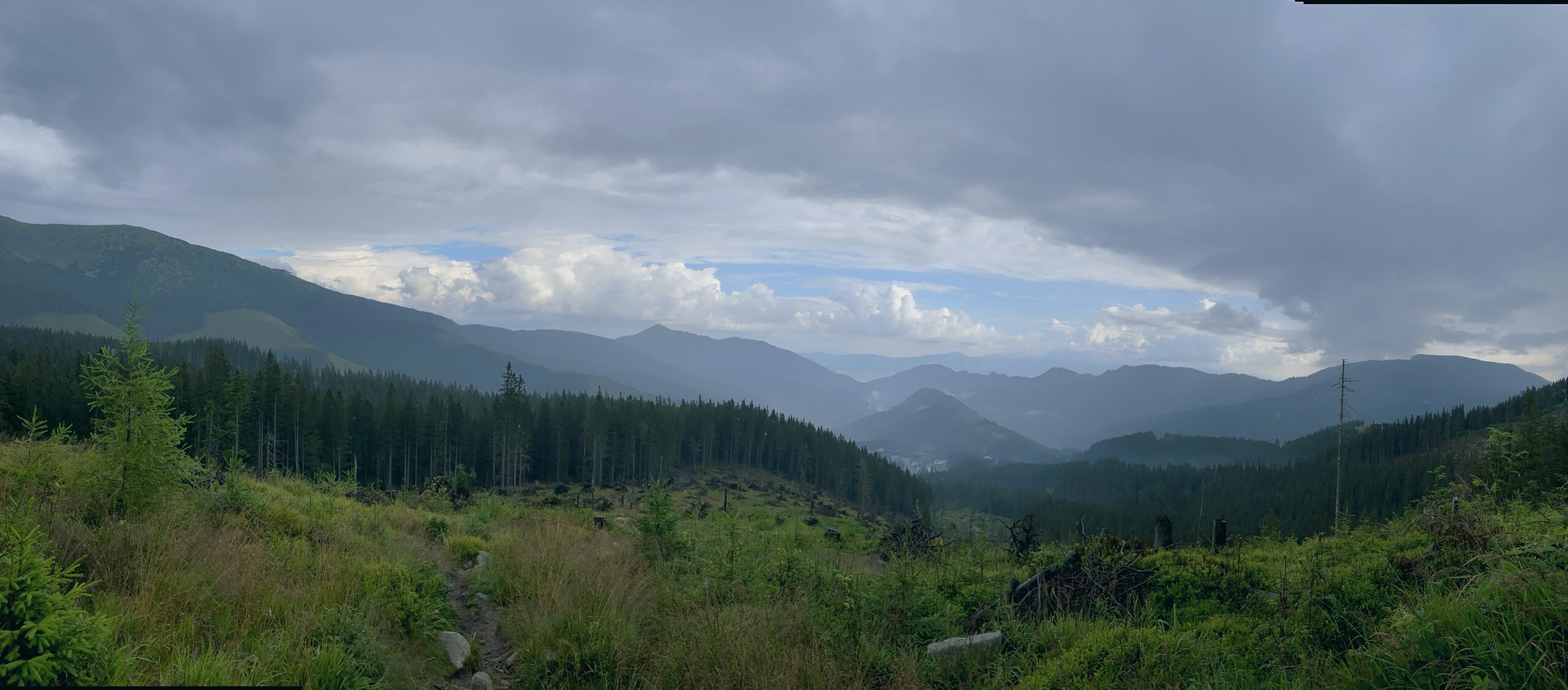 Panoramic view of a forested valley and mountains in the Low Tatras