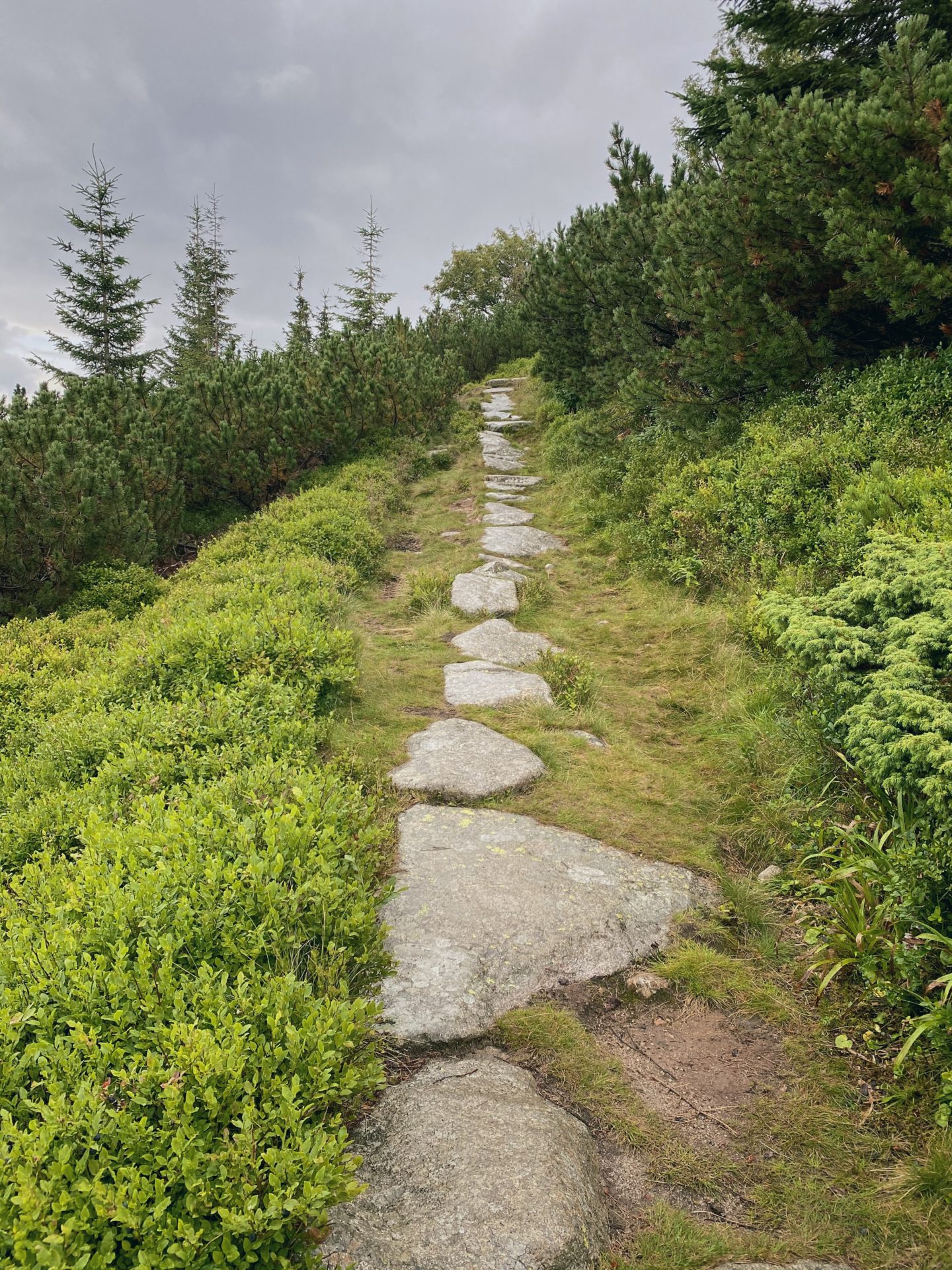 Stone path winding uphill through lush green vegetation in the Low Tatras