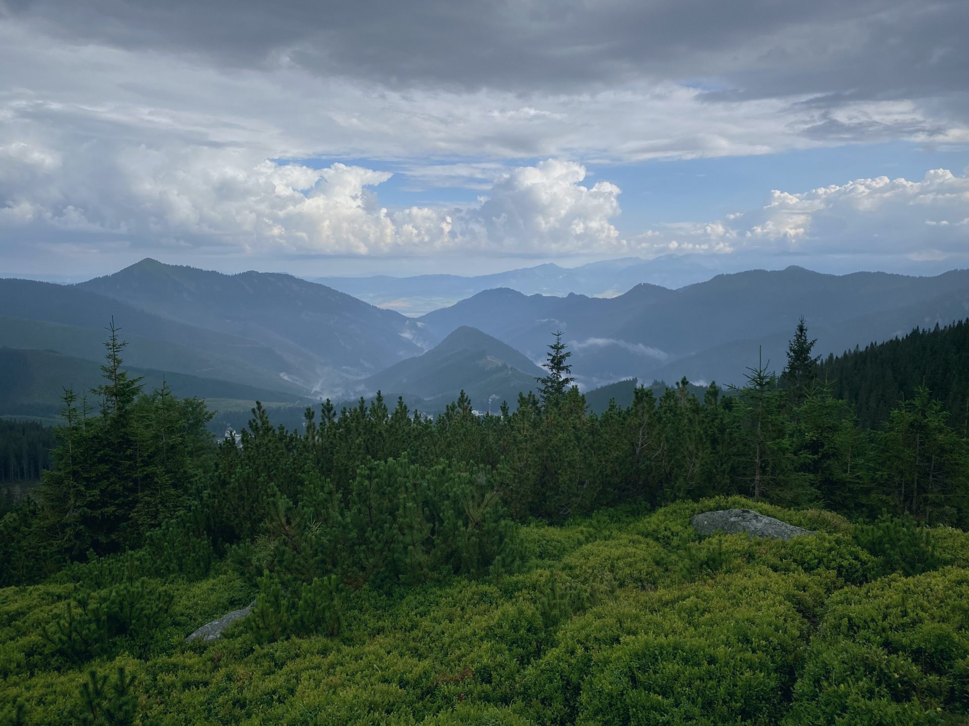 Pine trees and shrubs in the foreground overlook the distant Low Tatras mountain ranges