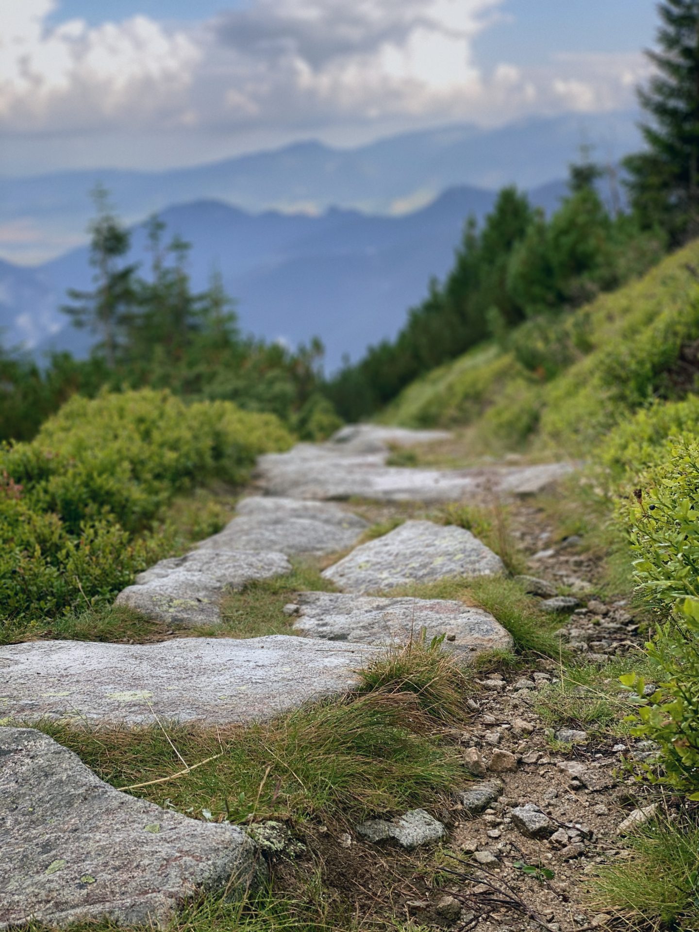 A stone path winds through green vegetation toward distant mountain peaks