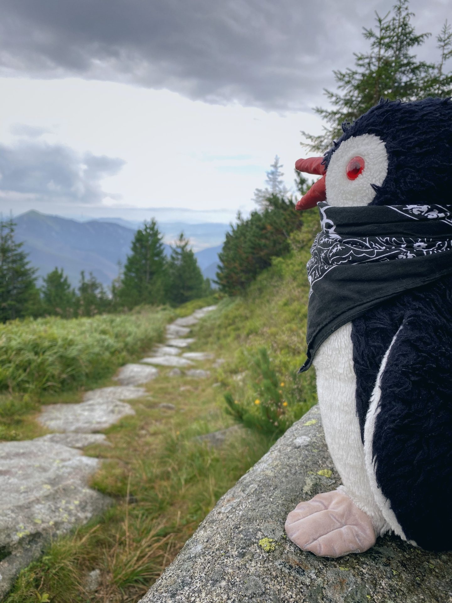 Plush penguin wearing a bandana sits on a rock overlooking Low Tatras mountains