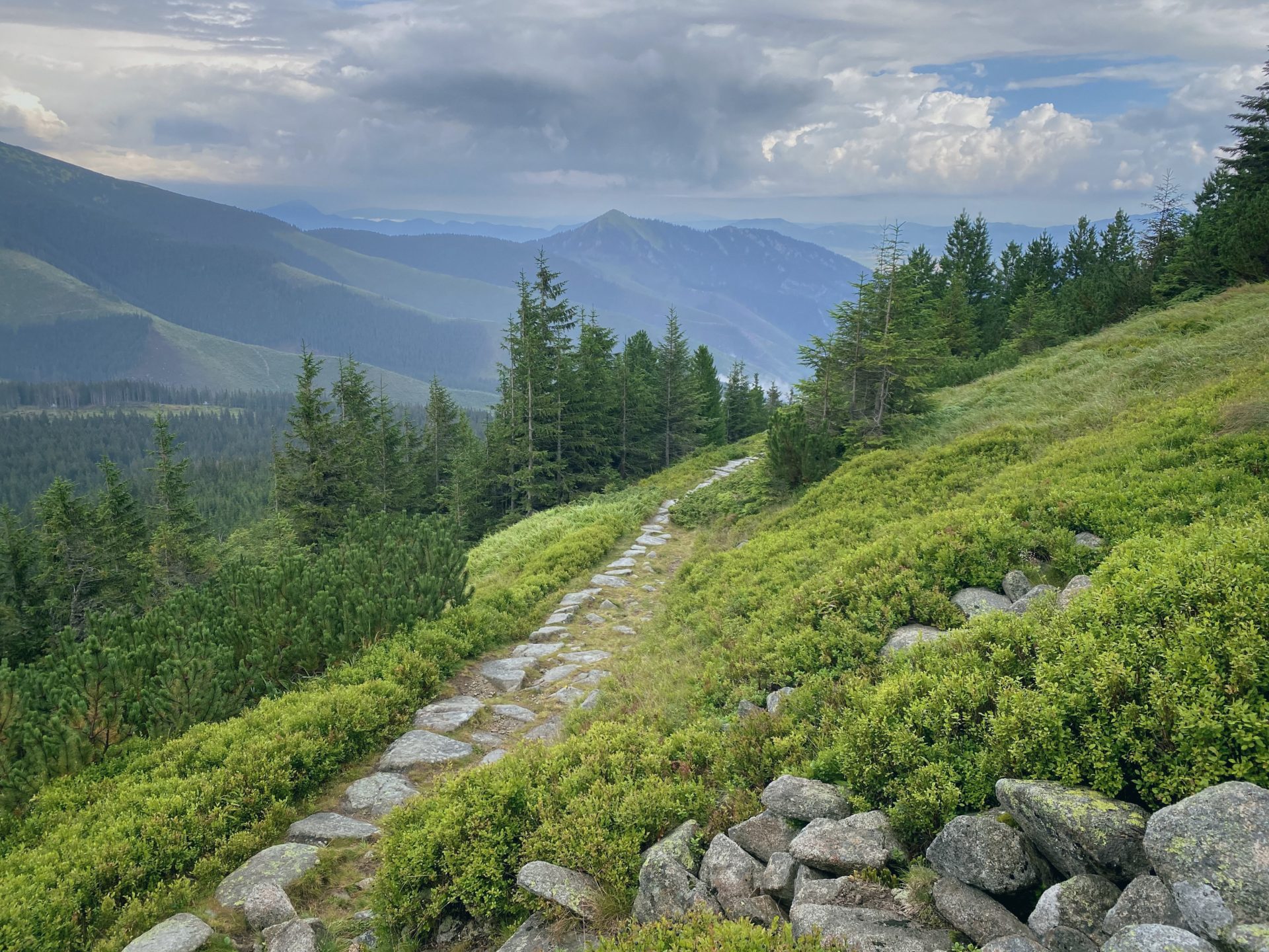 Stone path winds through green mountain slopes in the Low Tatras