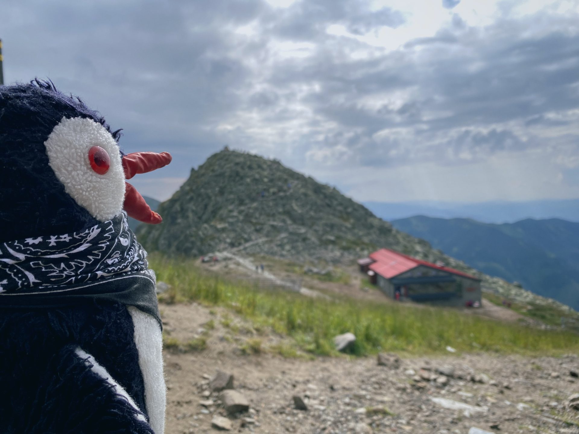 Plush penguin looks toward a mountain peak in the Low Tatras