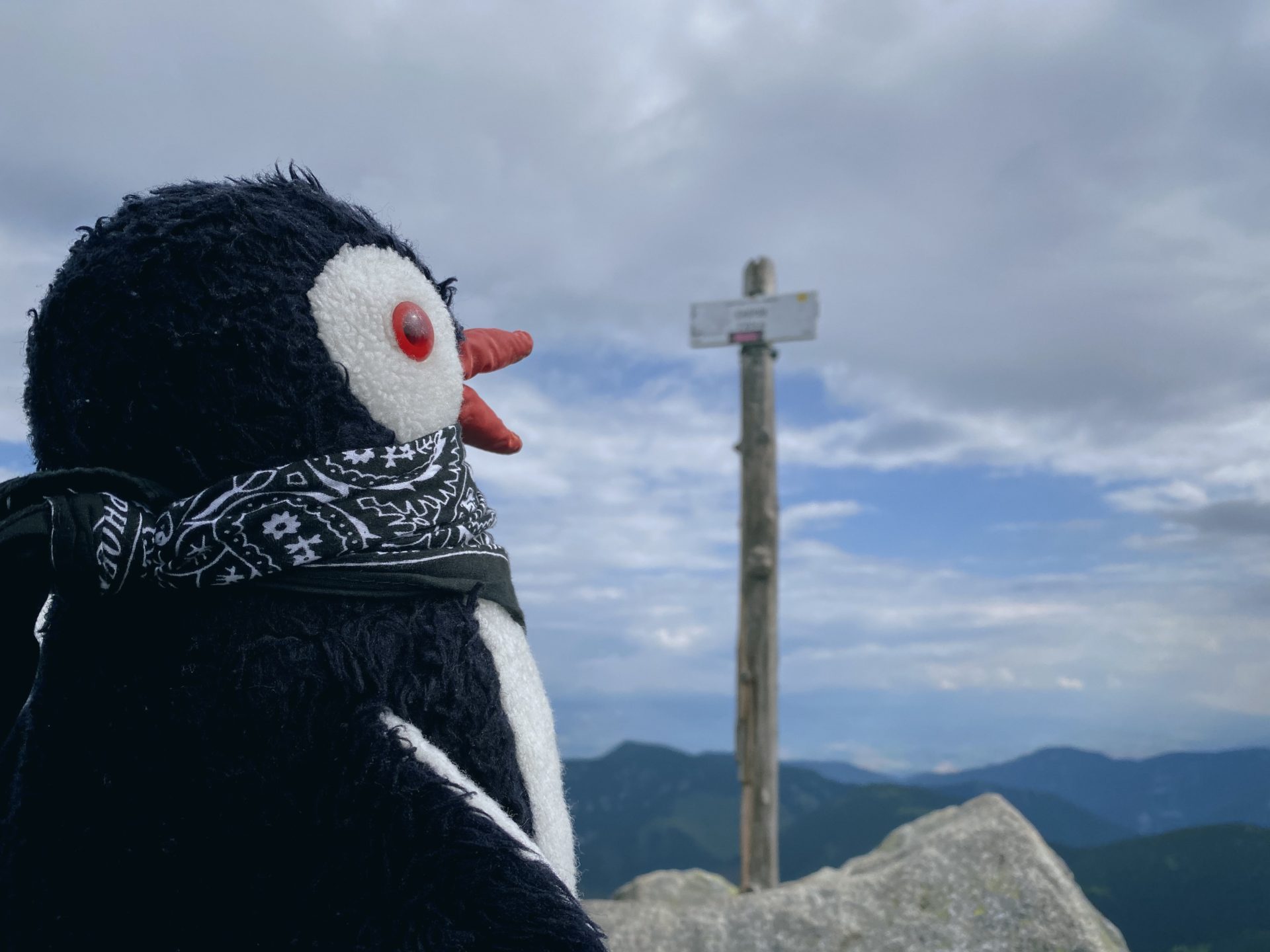 Plush penguin wearing a bandana looks toward a mountain trail sign