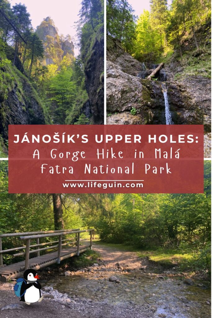 Janosik Holes