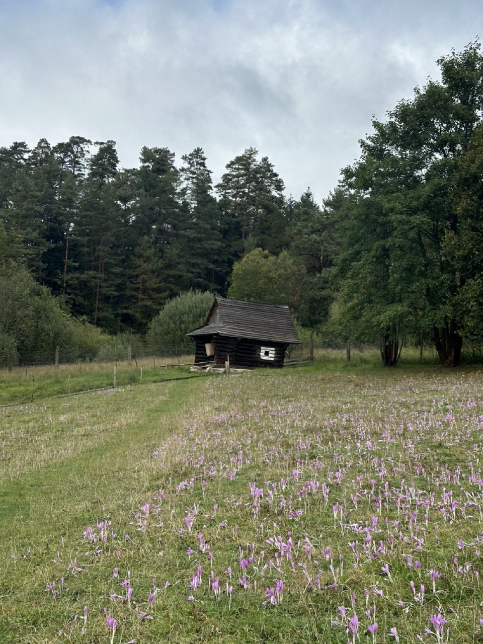 Open air museum stara lubovna slovakia
