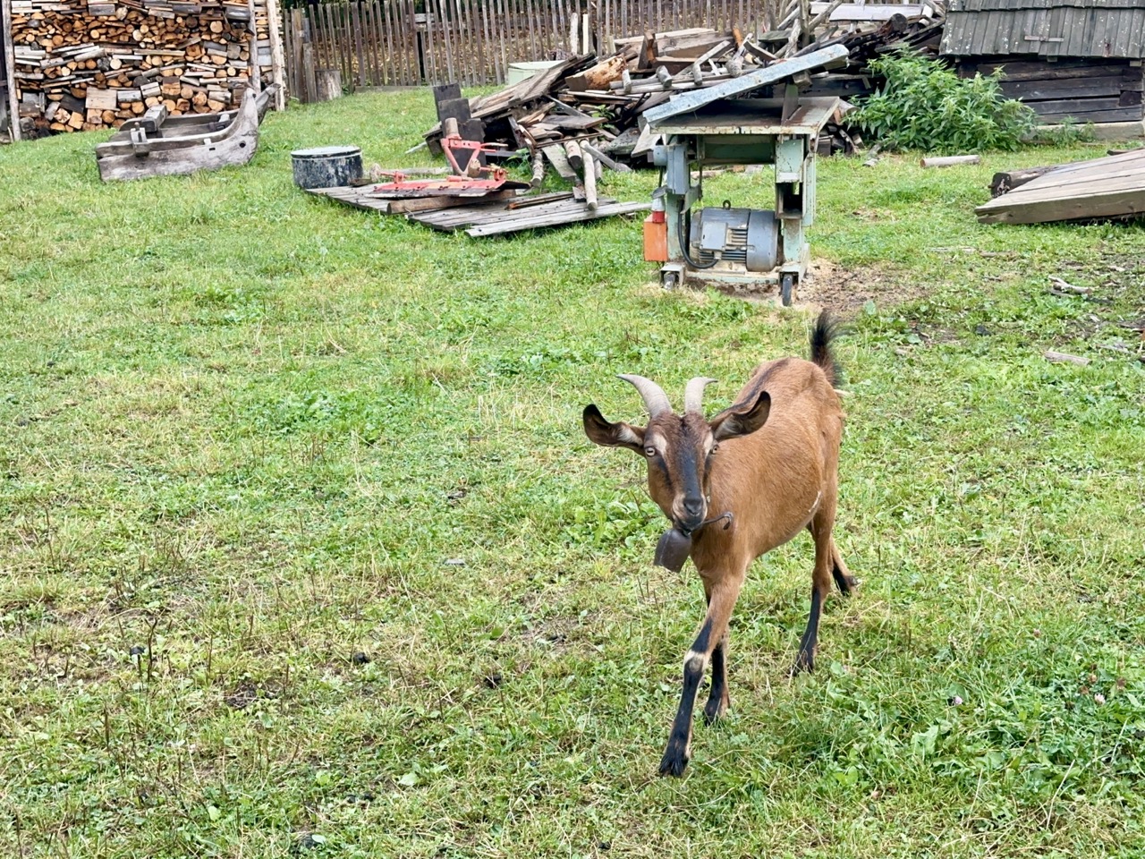 Open air museum stara lubovna slovakia