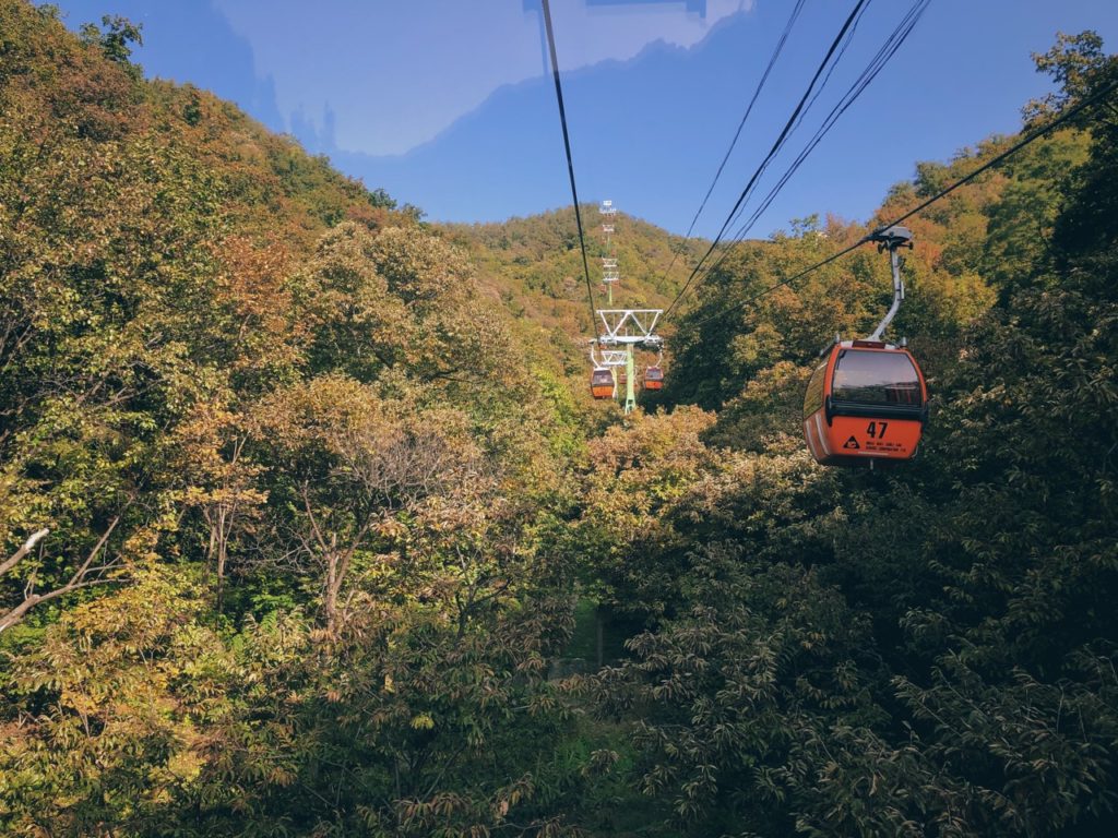 Orange cable cars travel over a lush forest at the Great Wall of China
