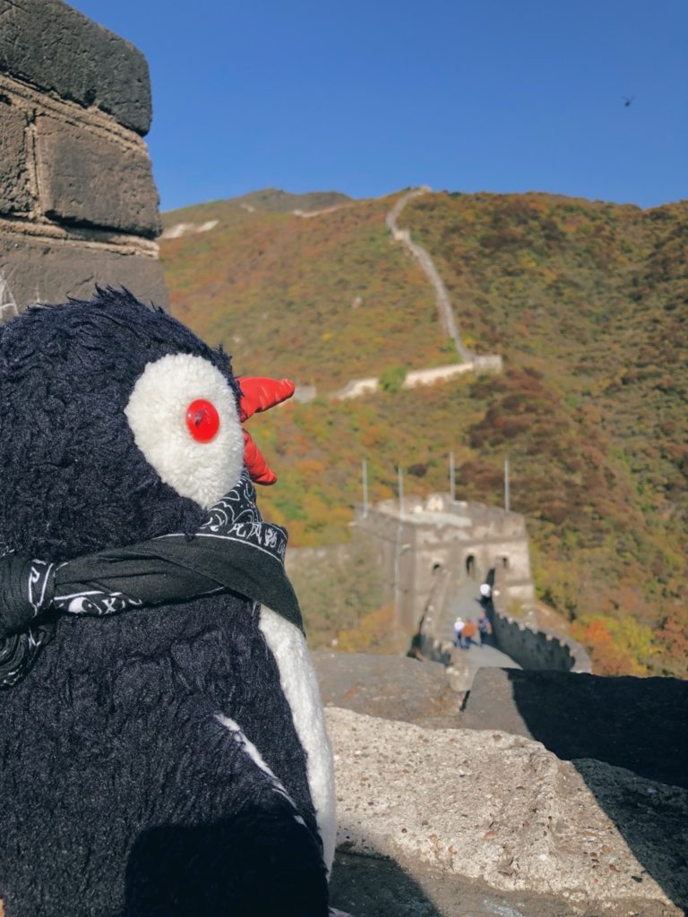 Plush penguin looking out at the Great Wall of China in autumn