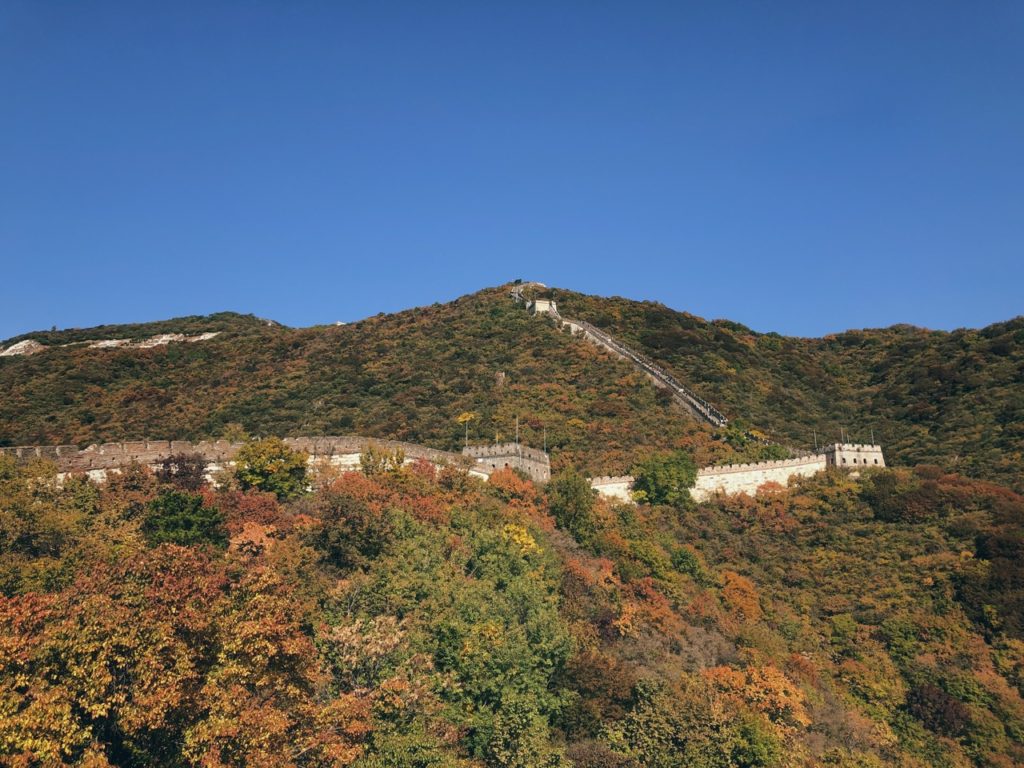 The Great Wall of China winds across a mountain covered in autumn foliage