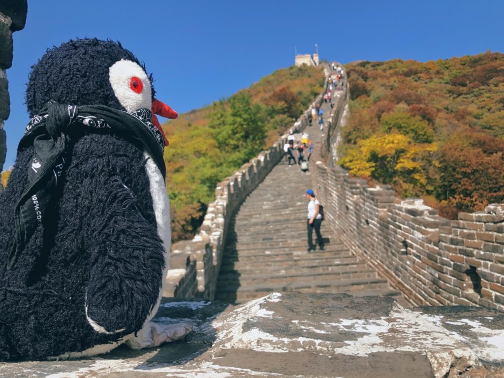 A plush penguin sits on the Great Wall of China overlooking hikers