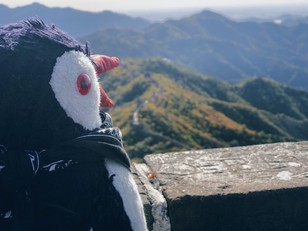 A plush penguin looks out over the Great Wall of China