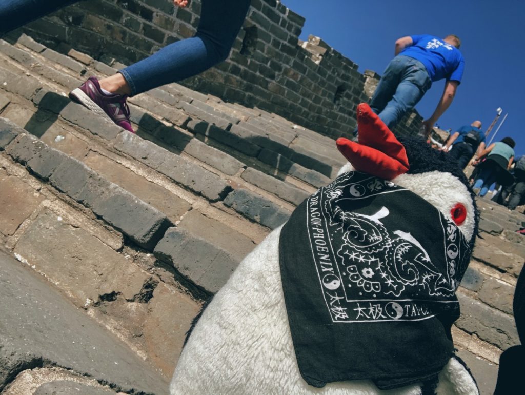 Stuffed penguin wearing a bandana on the steps of the Great Wall of China