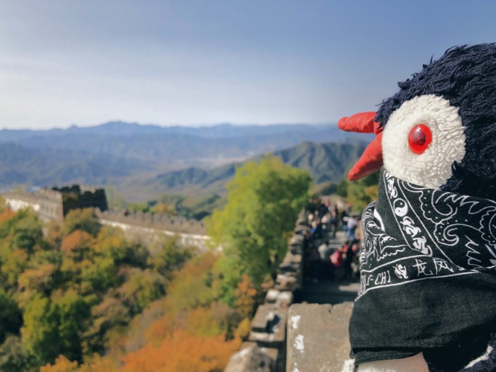 A plush penguin wearing a bandana overlooks the Great Wall of China