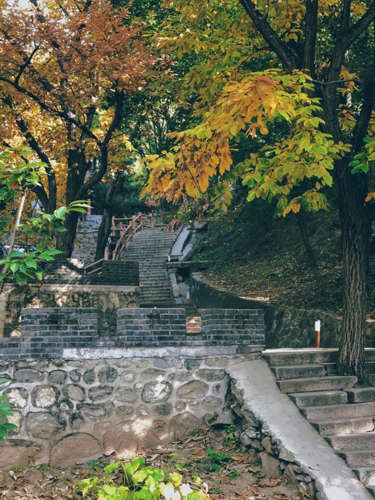 Hiking route