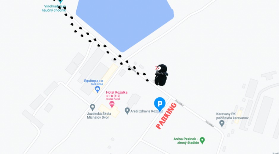 Parking and waddle way Pezinok