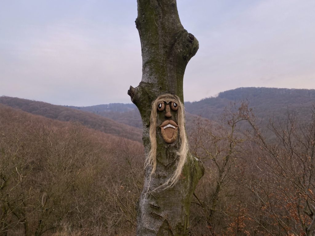 A wooden face with long hair is attached to a tree trunk