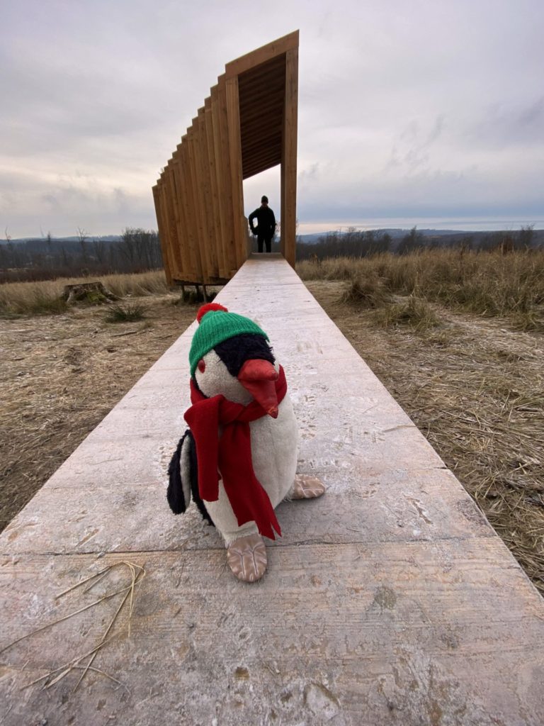 A stuffed penguin wearing a hat and scarf sits on a wooden path