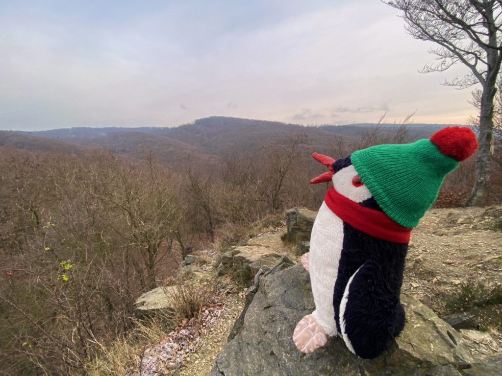 Stuffed penguin wearing a winter hat sits on a rocky mountain overlook
