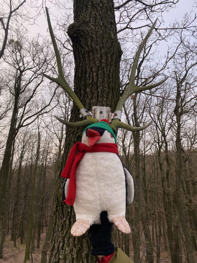 Plush penguin wearing a scarf attached to a tree with deer antlers