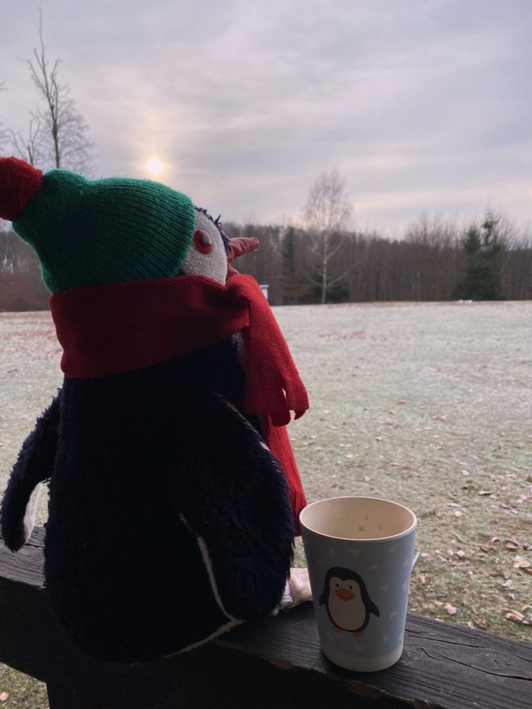 A plush penguin wearing a scarf sits beside a mug overlooking a field