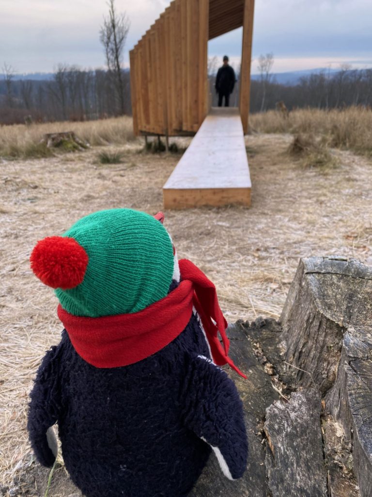 A plush penguin wearing a hat and scarf looks toward the Vydrica Observatory