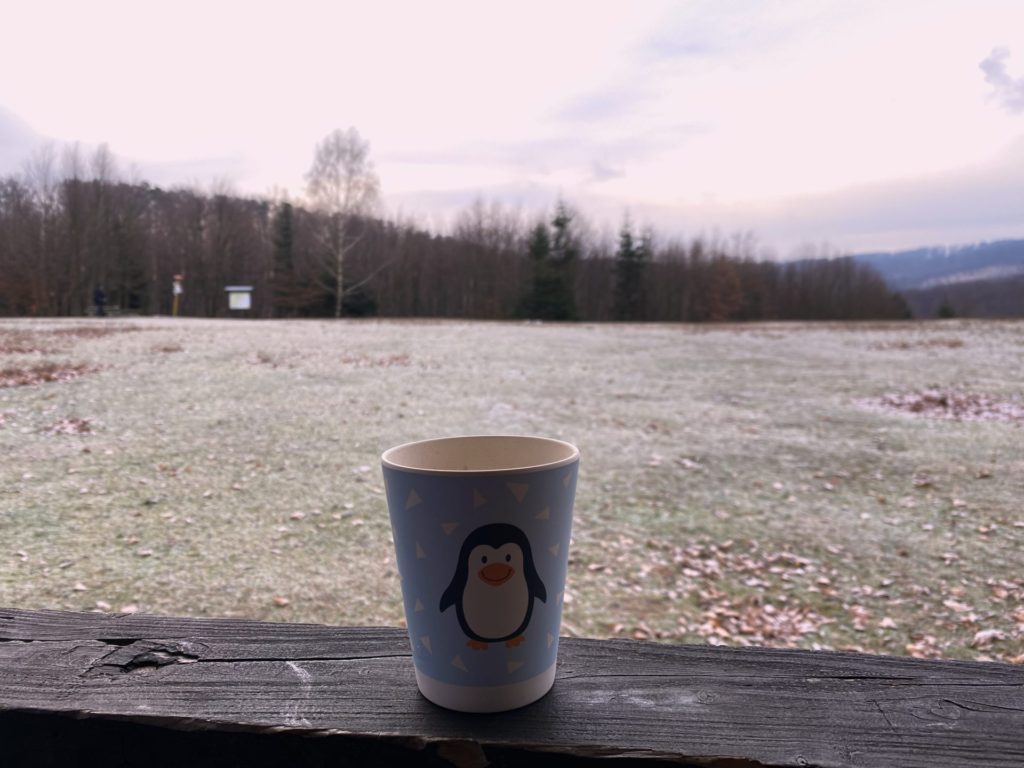 A penguin cup sits on a wooden railing overlooking a frosty field