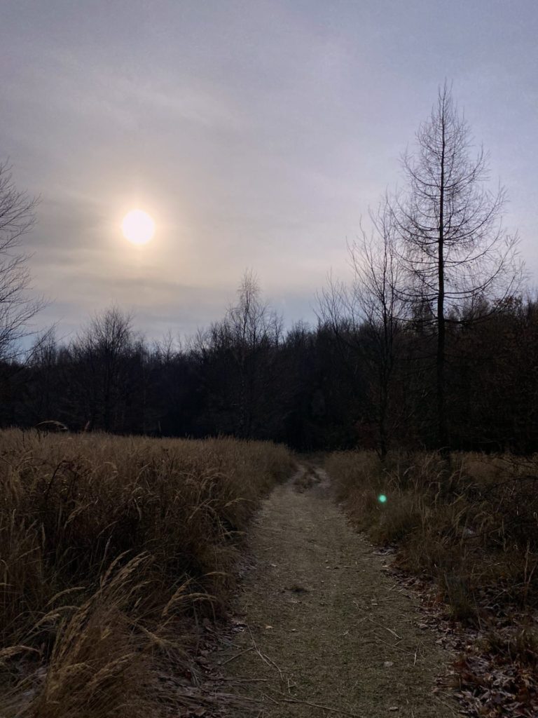 A dirt path leads through tall grass toward a forest under a hazy sun