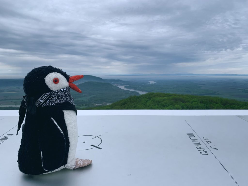At The Lookout Tower
